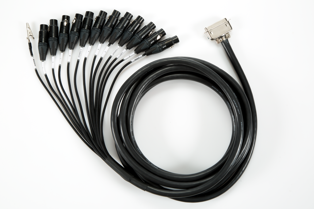 Private Q2 Input Cable D36-FXLR 20ft, 7m